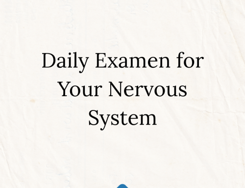 Daily Examen for Your Nervous System